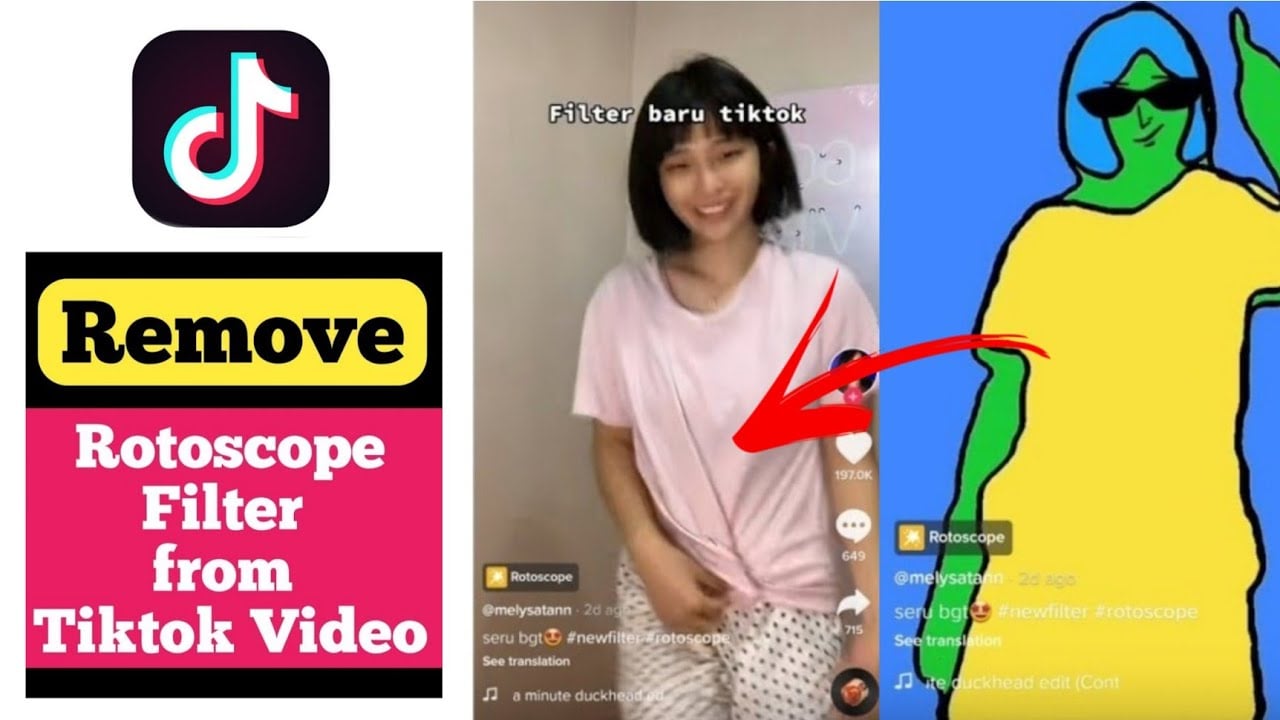 How To Remove A Tiktok Filter From A Video Zeru