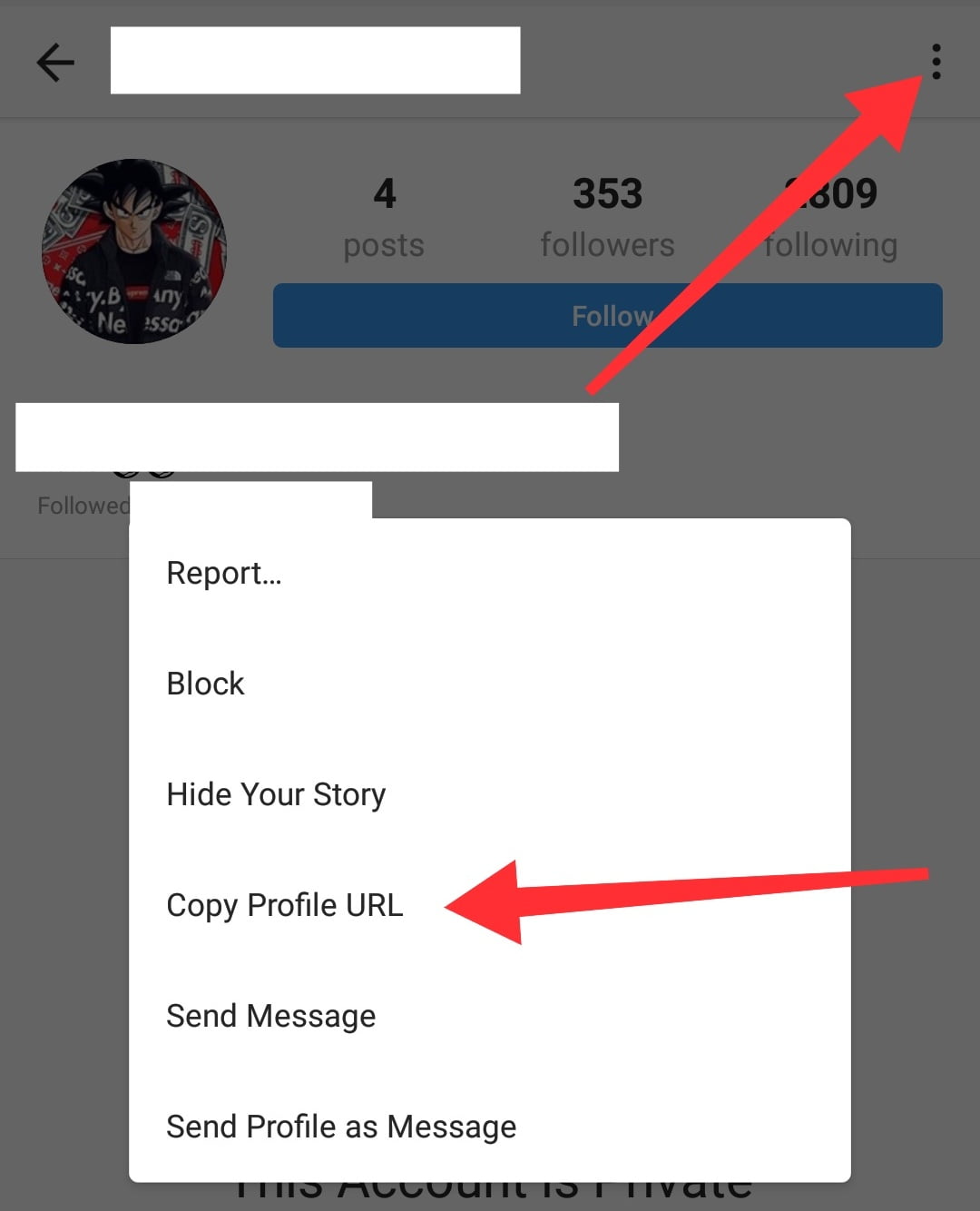 How-to-View-a-Private-Instagram-Account_