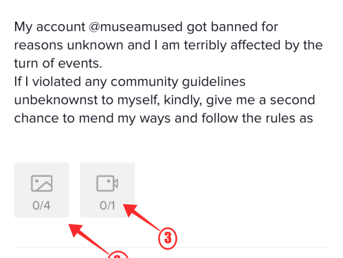 4 Ways to Contact TikTok Support