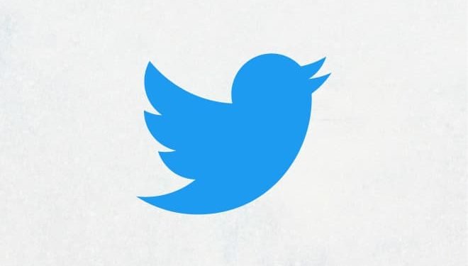 Can I Use the Twitter Logo on My Website?