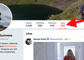 Can People See What You Like on Twitter?