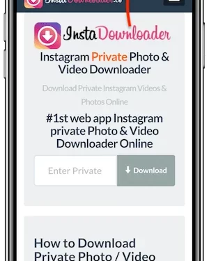 Can You Download Private Instagram Videos?