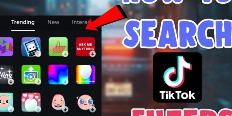 Can You Search For Filters on TikTok?