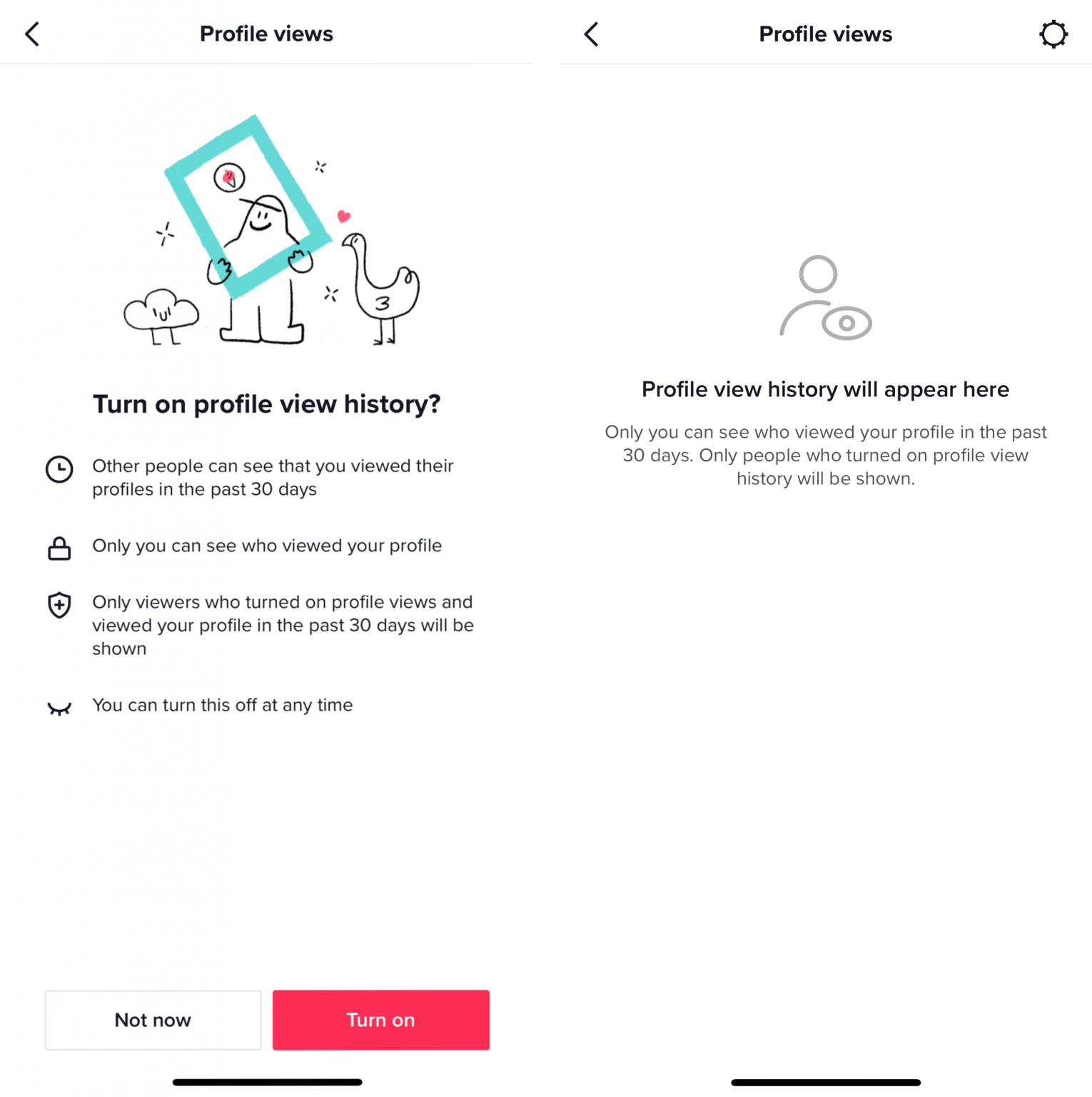Tiktok'S Hidden Features - c5l1k3o