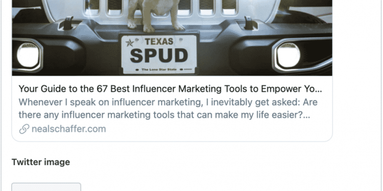 Do Twitter Cards Cost Money?