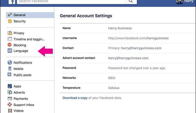 Does Facebook Automatically Translate Posts?