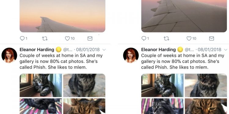 Does Twitter Have a Gallery?