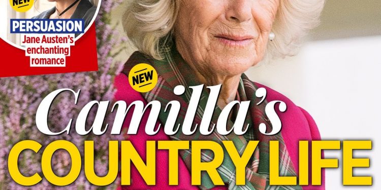 Guess Who’s Behind the Scooby Snooby Snacks Marketing Campaign?