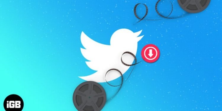 How Can I Download Twitter Videos 2022?