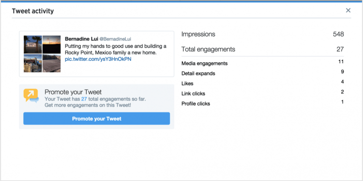 How Can You See Someone’s Activity on Twitter?