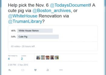 How Can You See Who Votes on Twitter Polls?