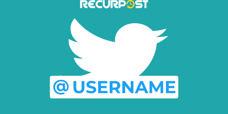 How Do I Choose a Twitter Handle?