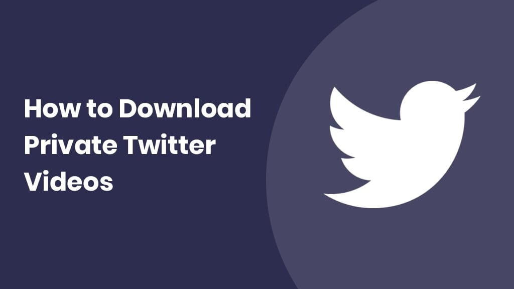 how to download twitter videos from private account