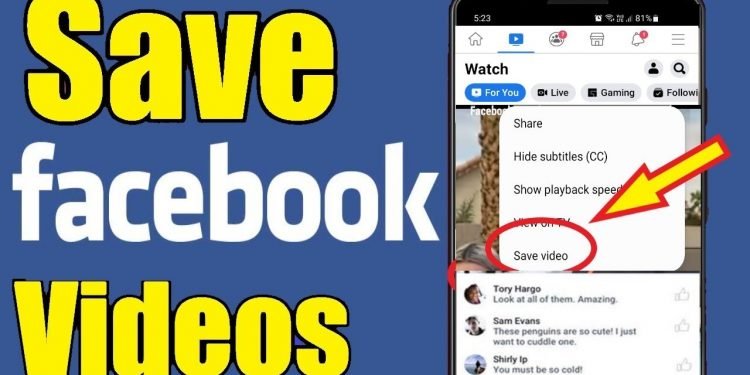 How Do I Download a Video From Facebook to My Gallery?
