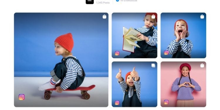How Do I Embed Instagram on My Website?