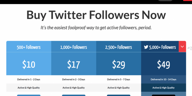 How Do I Get Fake Twitter Followers?
