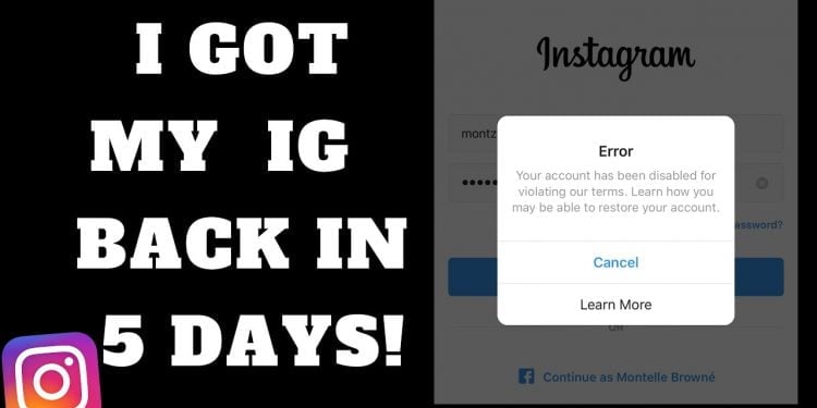 How Do I Get My Instagram Account Back?