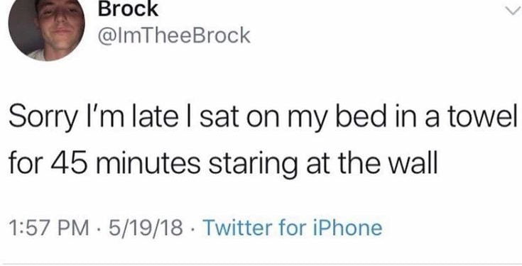 How Do I Make My Twitter Feed Fun?