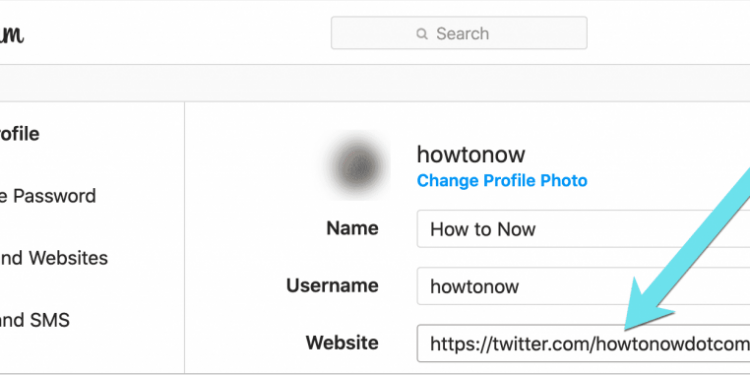 How Do I Put My Twitter Link in My Instagram Bio?