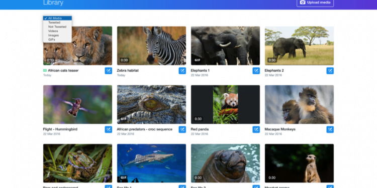 How Do I See All Media on Twitter?