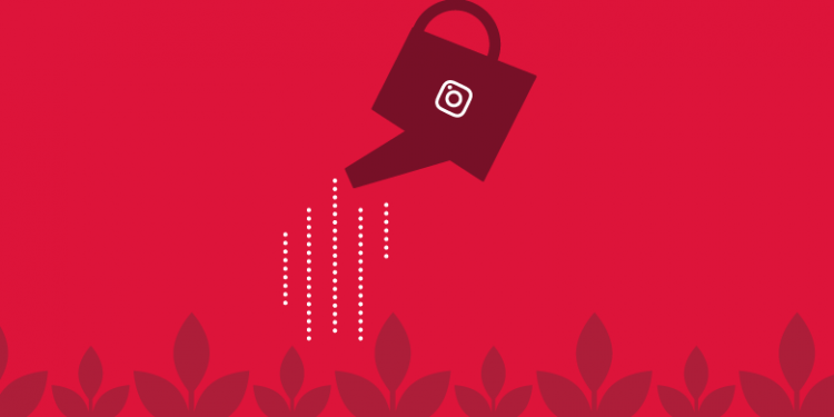 How Do I Speed Up My Instagram Growth?