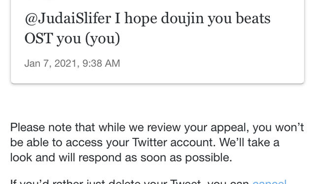 How Long Do Twitter Appeals Take?