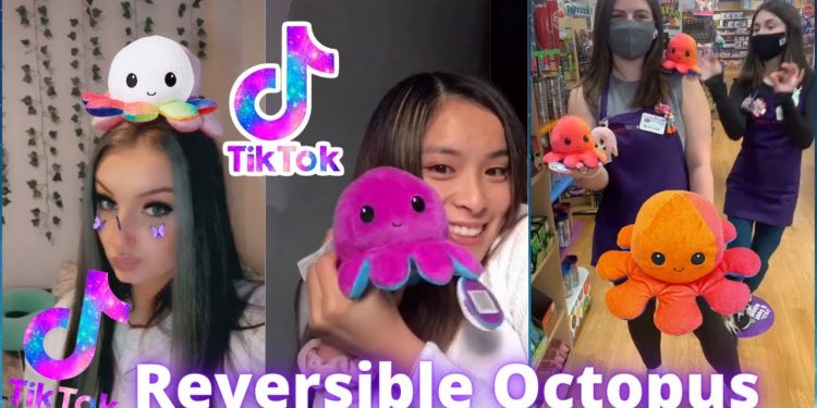 How Much Are the TikTok Octopus Plush Toys?