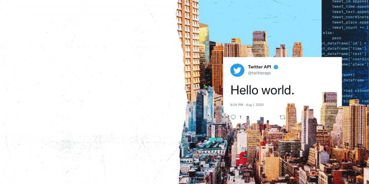 How Much Does Twitter API Cost?