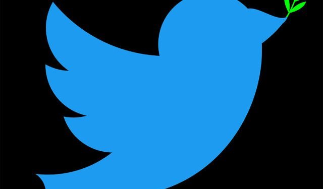 How Twitter Can Itself After Jack