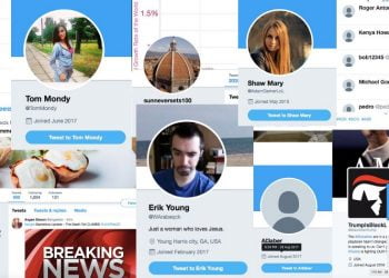 How Uses Bots Fake Twitter Accounts?