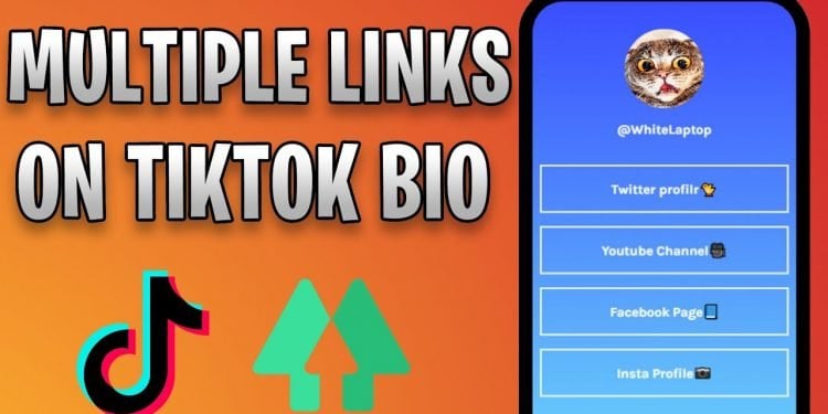 How to Add Linktree to TikTok