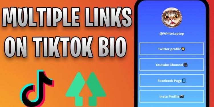 How To Add Linktree To TikTok - Zeru