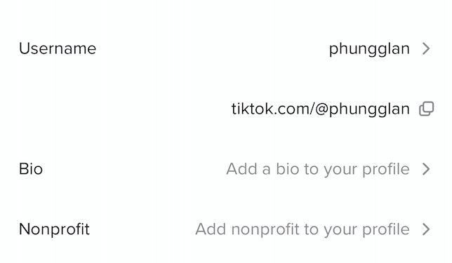 How to Add a Website to TikTok
