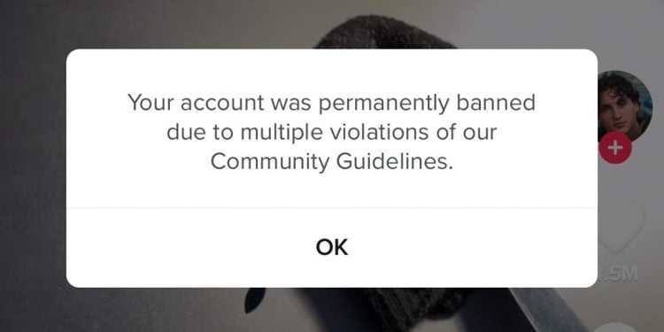 How to Appeal a TikTok Ban