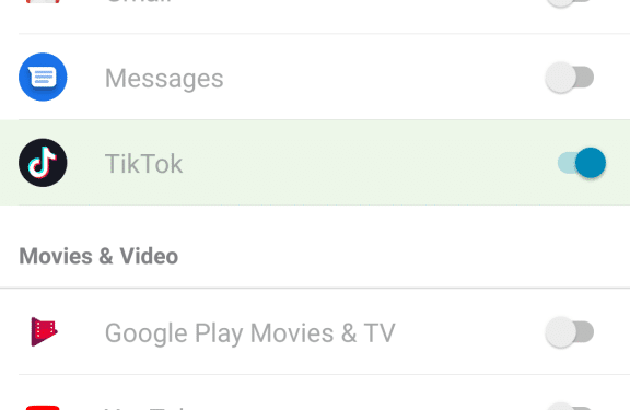 How to Block TikTok on iPhone