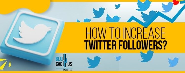 How to Boost Twitter Followers