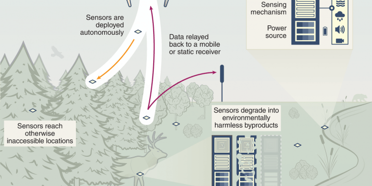 How to Change Settings on Twitter to Make Images and Static Media Inaccessible
