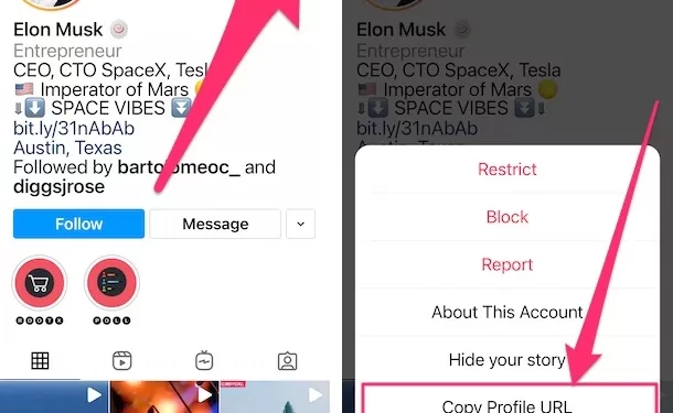 How to Copy My Instagram Profile Link From App