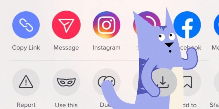 How to Copy a Link on TikTok