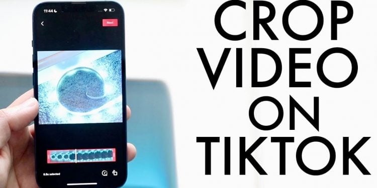 How to Crop TikTok Videos