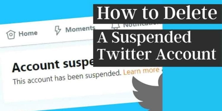 How to Delete a Suspended Twitter Account