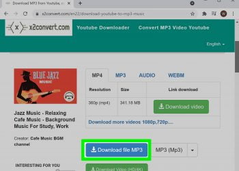 How to Download Audio From YouTube