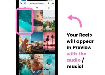 How to Download Instagram Reels Without Audio