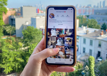 How to Download Pictures From Instagram