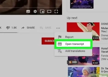How to Download Subtitles From YouTube