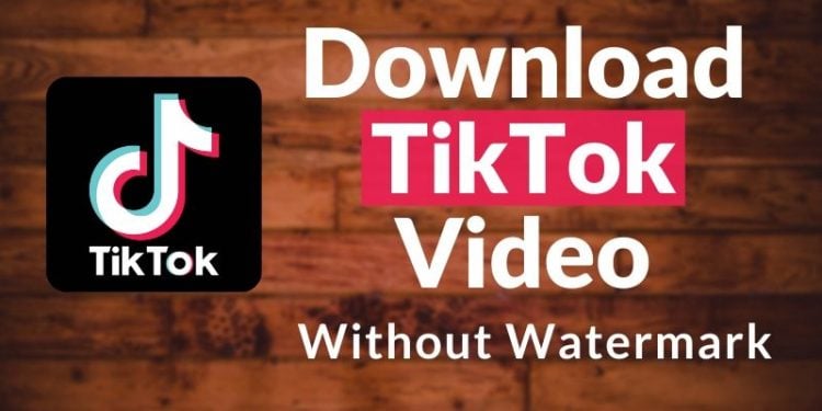 How to Download TikTok Videos With Watermark