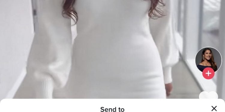 How to Download TikTok Videos on PC