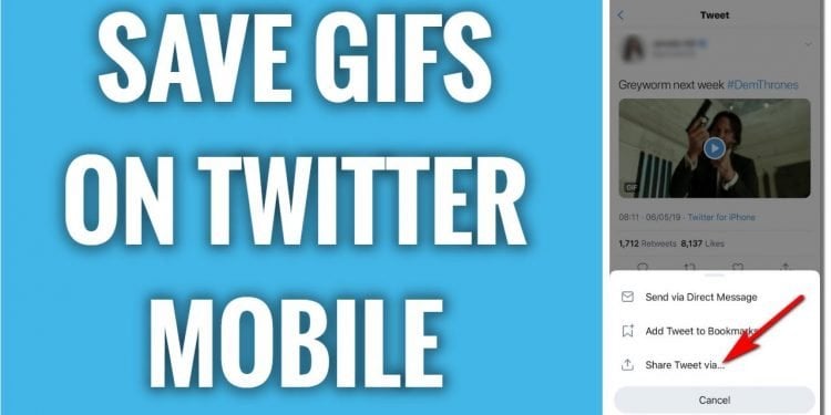 How to Download Twitter GIF