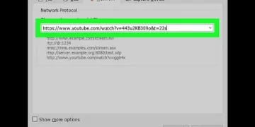 How to Download Video From YouTube