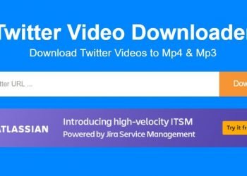 How to Download Videos Off Twitter